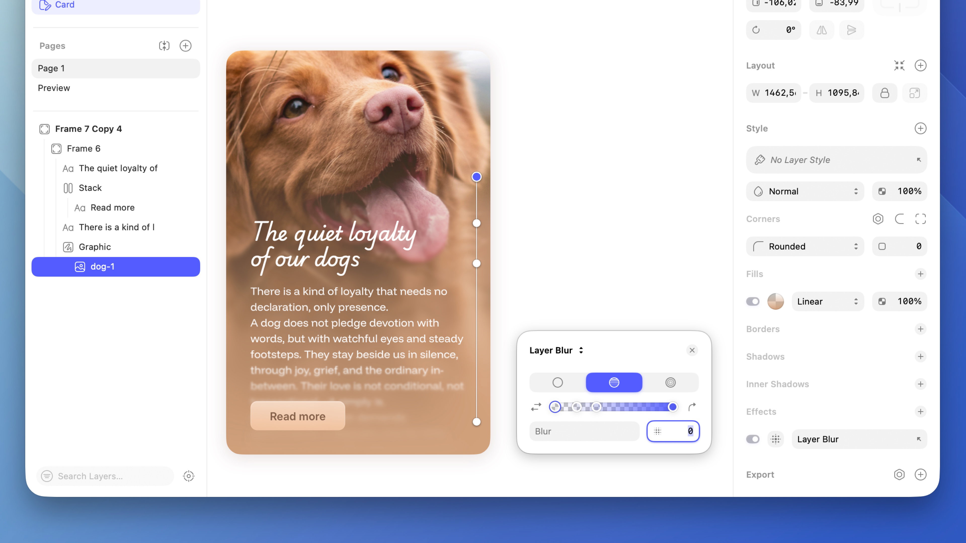 An image showing Linear Progressive blur applied to a layer